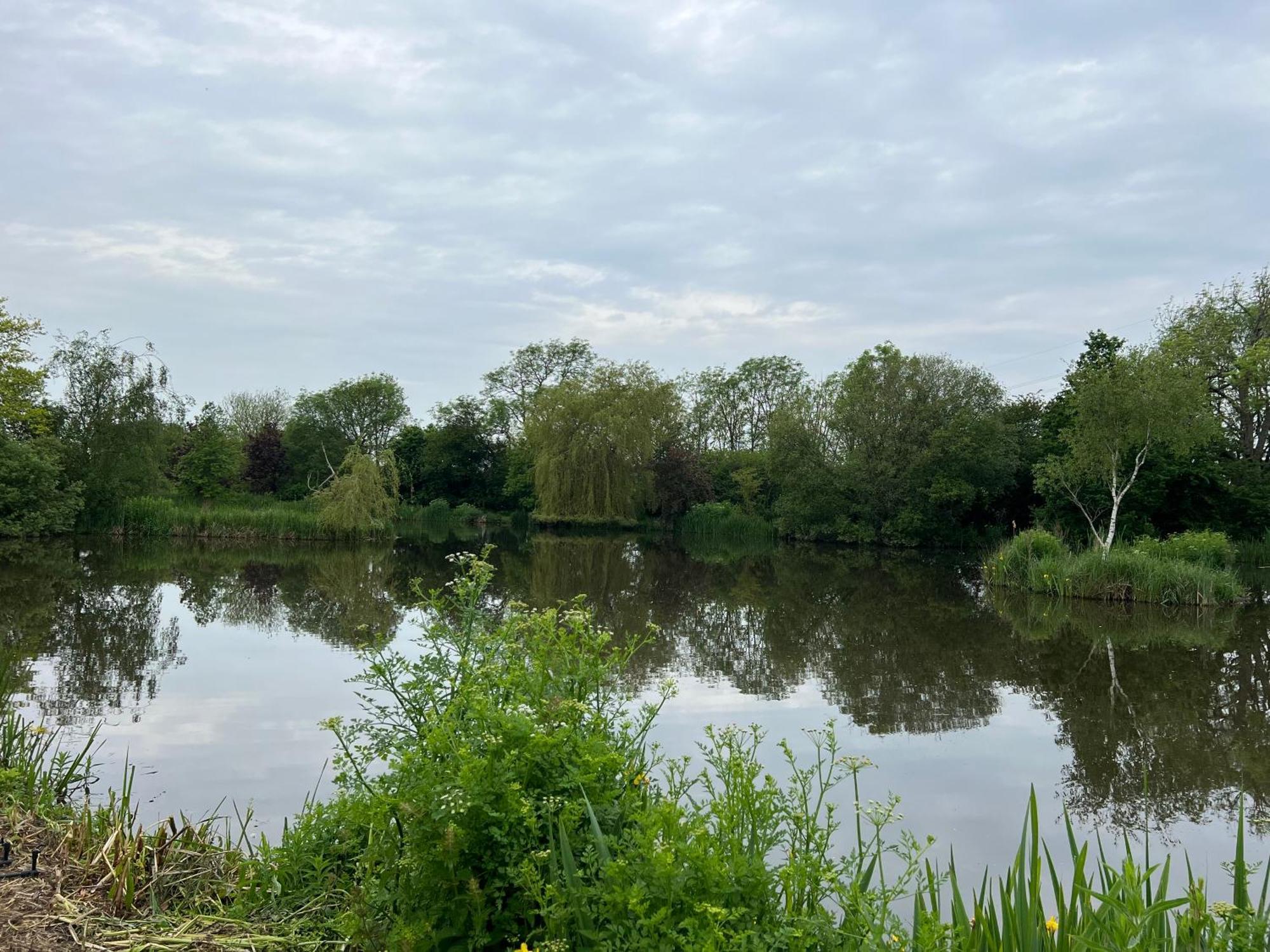 Amber Lodge Hickstead-C Haywards Heath Εξωτερικό φωτογραφία
